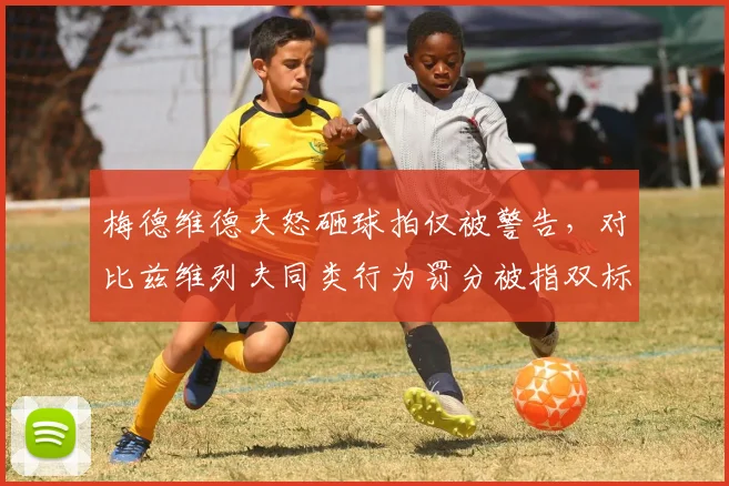 梅德维德夫怒砸球拍仅被警告，对比兹维列夫同类行为罚分被指双标